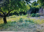 Satılır 12 sot torpaq Oğuz