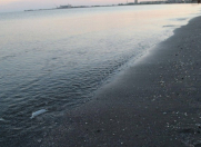 Satılır 350 sot torpaq Türkan