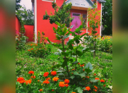 Satılır 4 otaqlı 120 m2 həyət evi Qəbələ