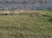 Satılır 10 sot torpaq Şabran