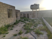 Satılır 9 sot torpaq Zirə