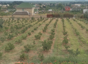 Satılır 8 otaqlı 110 m2 bağ evi Astara