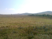 Satılır 12 sot torpaq Şamaxı