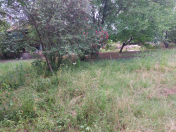 Satılır 30 sot torpaq Bərdə