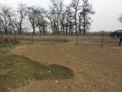 Satılır 8 sot torpaq Gəncə