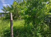 Satılır 4 otaqlı 145 m2 bağ evi Qəbələ