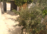 Satılır 4 otaqlı 140 m2 villa Bülbülə