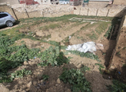 Satılır 3.2 sot torpaq Hökməli