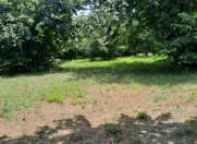 Satılır 25 sot torpaq Qəbələ