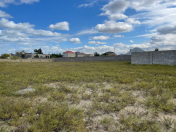 Satılır 12 sot torpaq Albalı