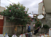 Satılır 3 otaqlı 200 m2 həyət evi Bakıxanov