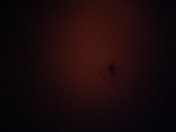 Satılır 60 sot torpaq Güzdək