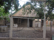 Satılır 7 otaqlı 350 m2 bağ evi Tərtər