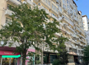 Satılır 3 otaqlı 180 m2 yeni tikili Dövlət Statistika Komitəsi