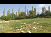 Satılır 1 otaqlı 23 m2 həyət evi Goranboy