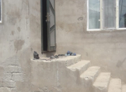 Satılır 3 otaqlı 70 m2 həyət evi Binə