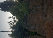 Satılır 7 sot torpaq Saray