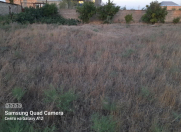 Satılır 6 sot torpaq Qala