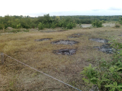 Satılır 8 sot torpaq Qusar