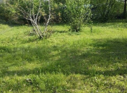 Satılır 20 sot torpaq Qəbələ