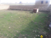 Satılır 10 sot torpaq Qobustan
