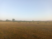 Satılır 15000 sot torpaq Qəbələ