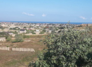 Satılır 100 sot torpaq Nardaran