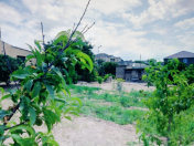 Satılır 4 otaqlı 144 m2 həyət evi Bilgəh