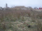 Satılır 7 sot torpaq Pirşağı