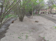 Satılır 8 sot torpaq Salyan