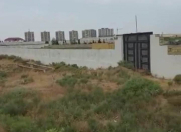 Satılır 100 sot torpaq Hökməli