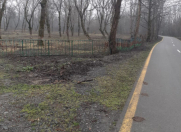 Satılır 200 sot torpaq Qəbələ