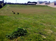 Satılır 73 sot torpaq Qara Qarayev m.