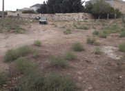 Satılır 10 sot torpaq Saray