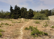 Satılır 10 sot torpaq Novxanı