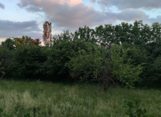 Satılır 20 sot torpaq Qəbələ