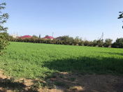 Satılır 4 otaqlı 150 m2 həyət evi Biləsuvar