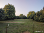 Satılır 30 sot torpaq Qəbələ