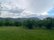 Satılır 270 sot torpaq Qax