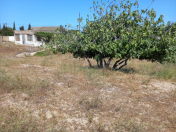 Satılır 27.5 sot torpaq Pirşağı