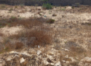 Satılır 12 sot torpaq Pirşağı