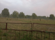 Satılır 20 sot torpaq Qəbələ