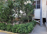 Satılır 1 otaqlı 50 m2 köhnə tikili 8 mkr