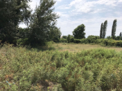 Satılır 35 sot torpaq Ağdaş