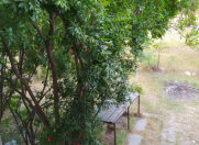 Satılır 4 otaqlı 100 m2 köhnə tikili Y.Günəşli