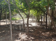 Satılır 3.6 sot torpaq Qaraçuxur