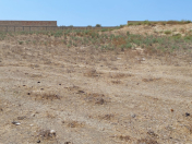 Satılır 3 sot torpaq Masazır