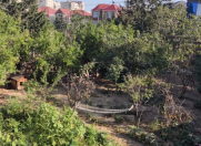 Satılır 3 sot torpaq Badamdar