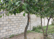 Satılır 1 otaqlı 22 m2 həyət evi Xaçmaz