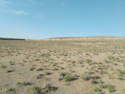 Satılır 244 sot torpaq Mehdiabad